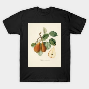 Kitchen, Fruit, Vintage, Typography, Quote, Home, Scandinavian T-Shirt